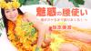 坂本美波